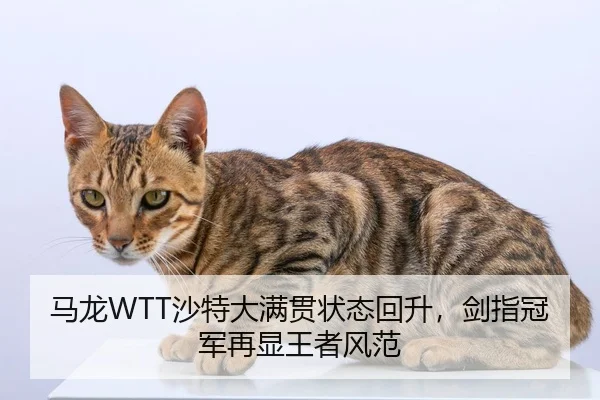 ma-long-sha-te-da-man-guan-zhuang-tai-hui-sheng-jian-zhi-guan-jun-zai-xian-wang-zhe-feng-fan-3-154.jpg